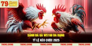 Sảnh Đá Gà WS168 - Sân Chơi Đáp Ứng Đủ Nhu Cầu Hội Viên