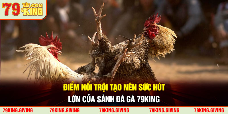 Điểm nổi trội tạo nên sức hút lớn của sảnh đá gà 79KING