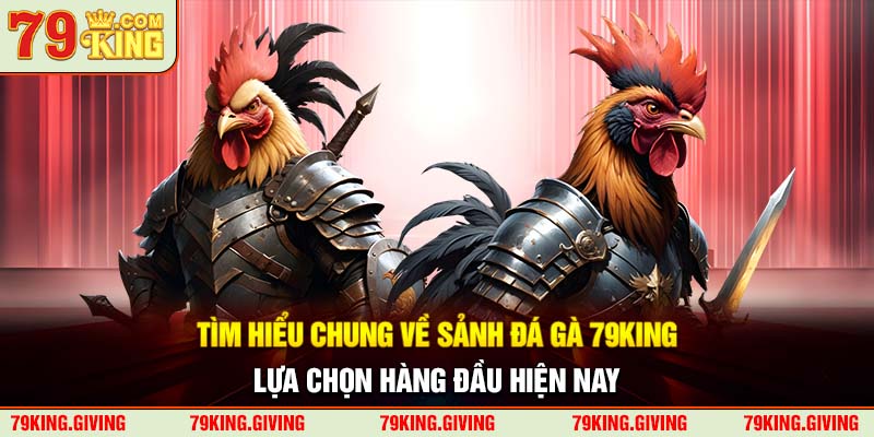 Tìm hiểu chung về sảnh đá gà 79KING, lựa chọn hàng đầu hiện nay